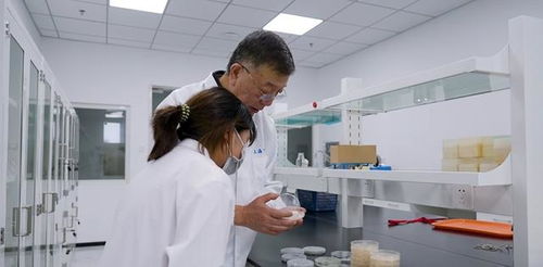 松江企业凭借创新微生物农药研发荣获发明金奖