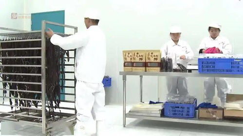 推动绿色生产 引领绿色消费——甘孜州绿色食品饮料产业的高质量发展之路