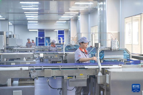 高质量发展调研行丨守正创新，以现代科技赋能传统瑰宝——探访重庆涪陵太极集团的中医药产业升级之路