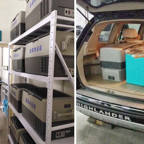 医疗科研专用汽车转运医用运输箱 安全、精准、高效的样本保障方案