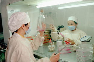 疫苗在中国 从传统预防到现代医学研究与试验的发展轨迹